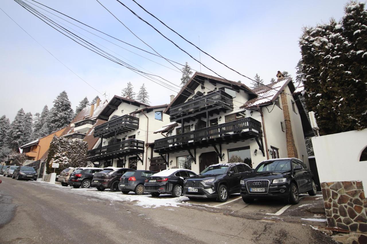 Complex Cochet Hotel Buşteni Eksteriør billede